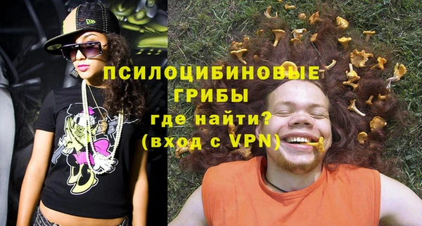 марки lsd Богданович