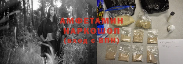 хмурый Ельня